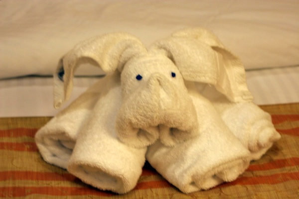 Click to see thumbs page