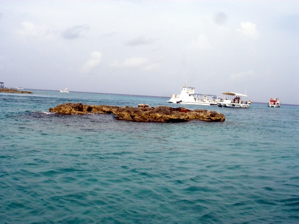 Click to see next picture