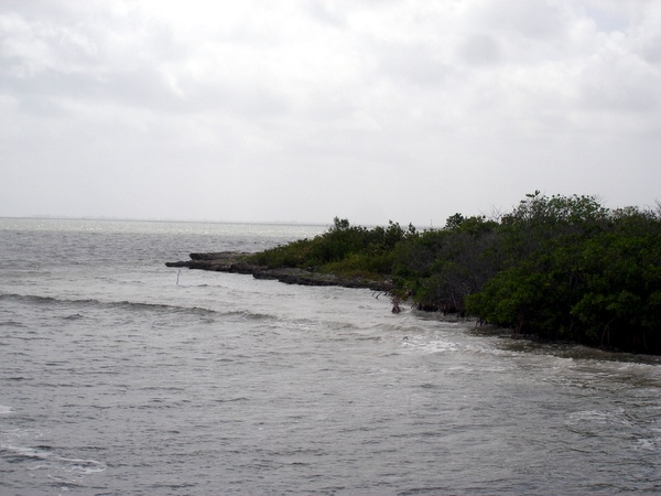 Click to see next picture