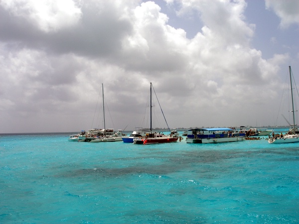 Click to see next picture