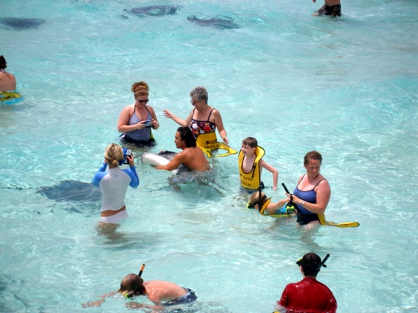 Click to see next picture