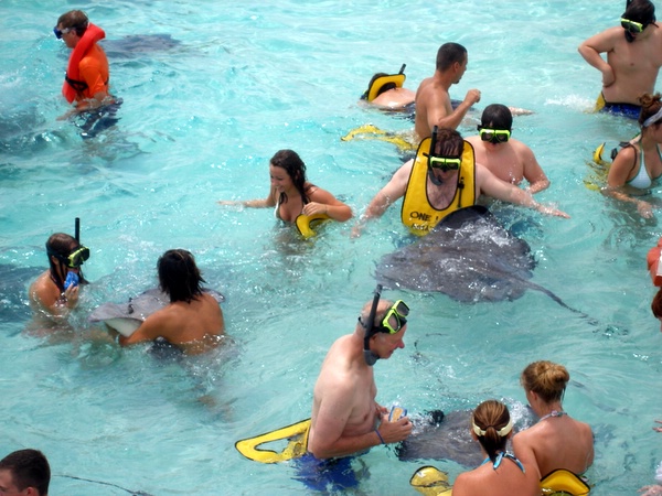 Click to see next picture