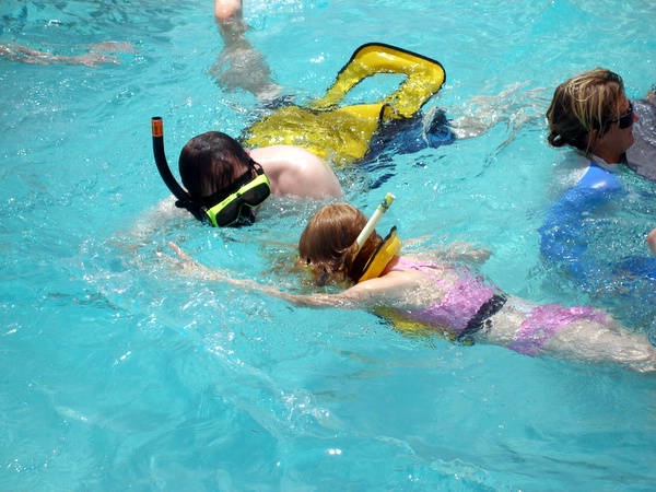 Click to see next picture