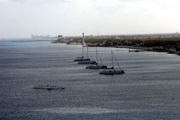 Click to see next picture