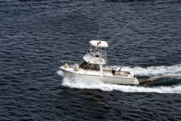 Click to see next picture