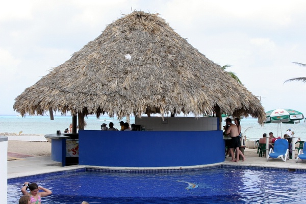 Click to see next picture