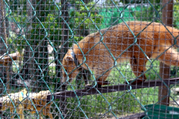 Click to see next picture