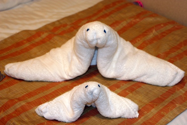 Click to see next picture