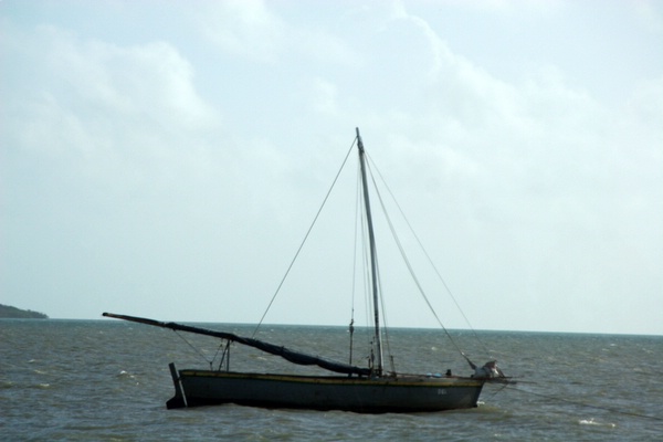 Click to see next picture