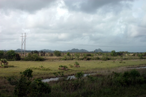 Click to see next picture