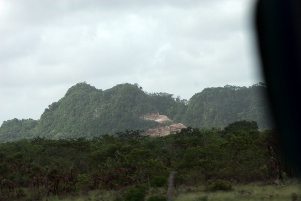 Click to see next picture