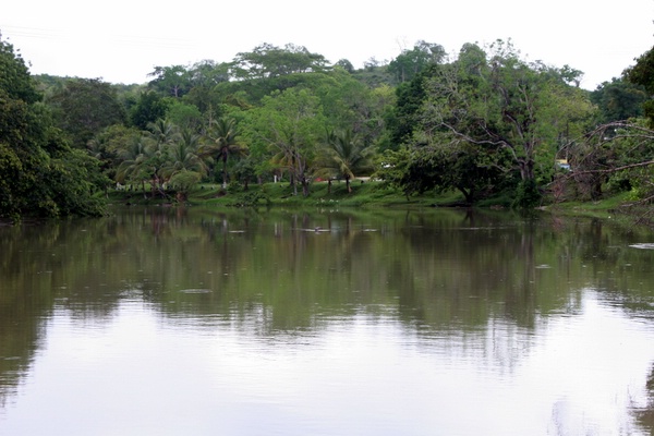 Click to see next picture