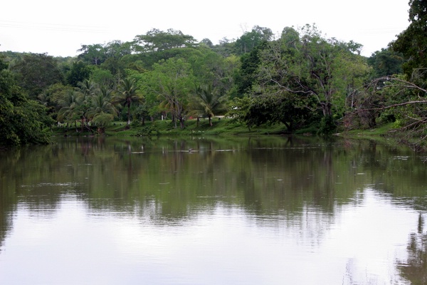 Click to see next picture