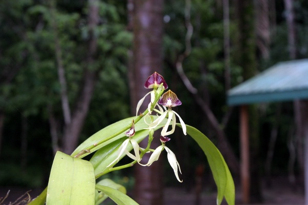 Click to see next picture