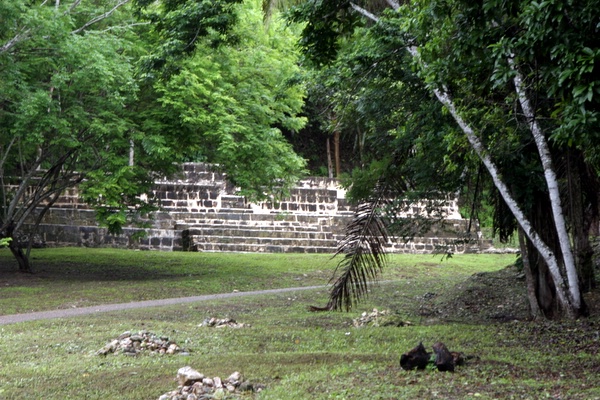 Click to see next picture