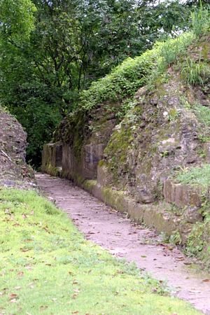 Click to see next picture