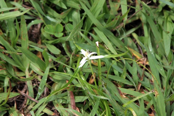 Click to see next picture