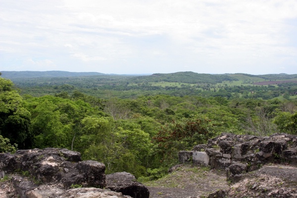 Click to see next picture