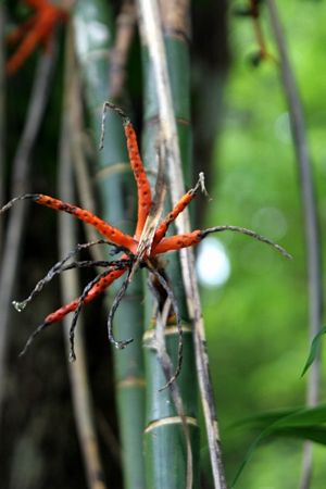 Click to see next picture