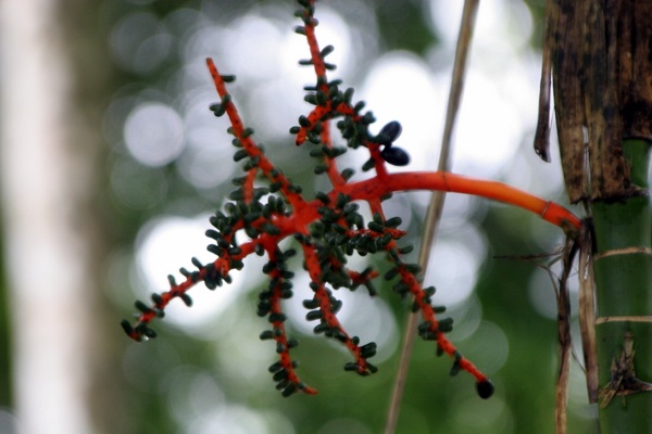 Click to see next picture