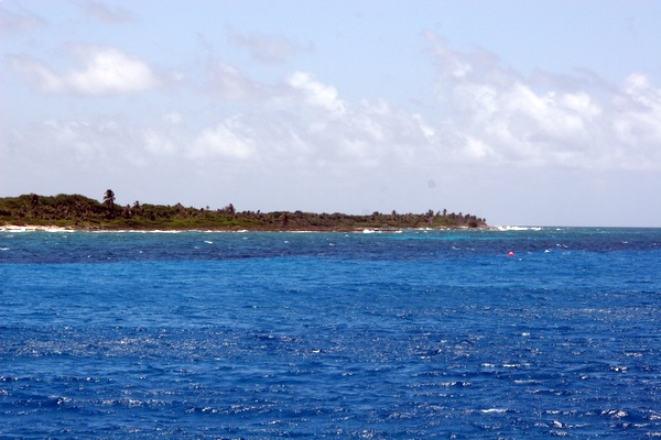 Click to see next picture