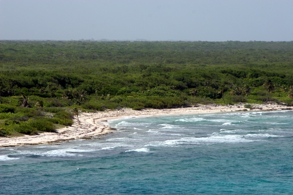 Click to see next picture