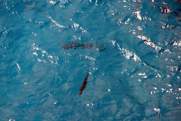 Click to see next picture