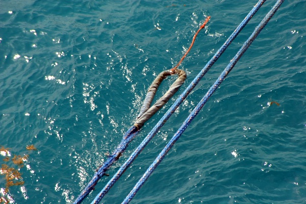 Click to see next picture