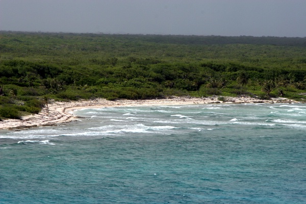 Click to see next picture