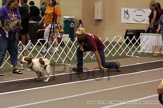 Dawg Derby Flyball Tournement<br />July 12<br />Classic Center<br />Athens, Ga