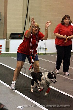 Dawg Derby Flyball Tournement<br />July 12<br />Classic Center<br />Athens, Ga