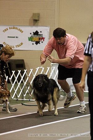 Dawg Derby Flyball Tournement<br />July 12<br />Classic Center<br />Athens, Ga