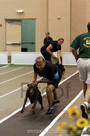 Dawg Derby Flyball Tournement<br />July 12<br />Classic Center<br />Athens, Ga