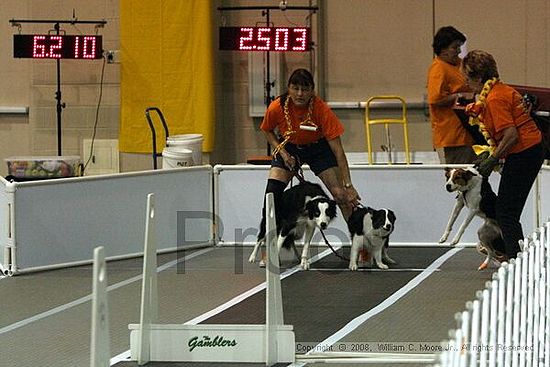 Dawg Derby Flyball Tournement<br />July 12<br />Classic Center<br />Athens, Ga