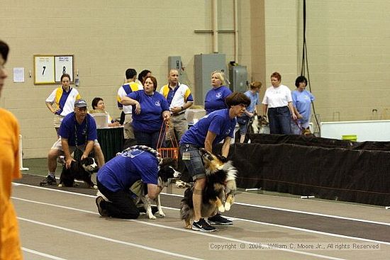 Dawg Derby Flyball Tournement<br />July 12<br />Classic Center<br />Athens, Ga