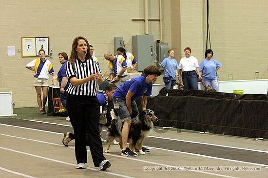 Dawg Derby Flyball Tournement<br />July 12<br />Classic Center<br />Athens, Ga