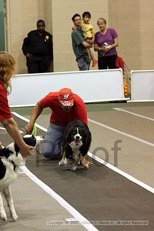 Dawg Derby Flyball Tournement<br />July 12<br />Classic Center<br />Athens, Ga