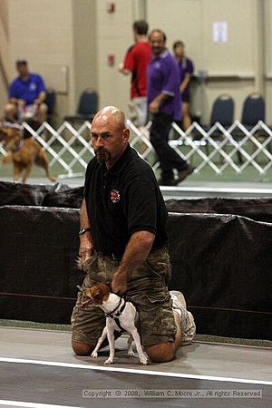 Dawg Derby Flyball Tournement<br />July 12<br />Classic Center<br />Athens, Ga