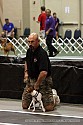 img_4387_thm.jpg