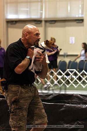 Dawg Derby Flyball Tournement<br />July 12<br />Classic Center<br />Athens, Ga