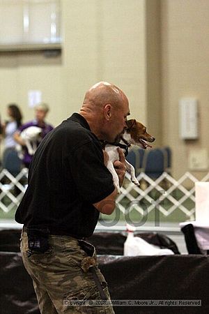 Dawg Derby Flyball Tournement<br />July 12<br />Classic Center<br />Athens, Ga