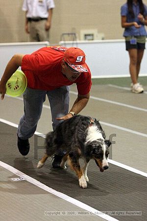 Dawg Derby Flyball Tournement<br />July 12<br />Classic Center<br />Athens, Ga
