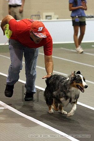 Dawg Derby Flyball Tournement<br />July 12<br />Classic Center<br />Athens, Ga