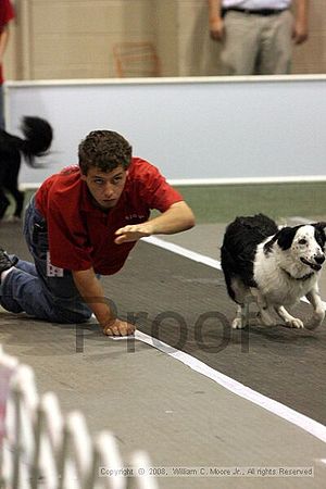 Dawg Derby Flyball Tournement<br />July 12<br />Classic Center<br />Athens, Ga