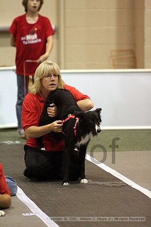 Dawg Derby Flyball Tournement<br />July 12<br />Classic Center<br />Athens, Ga