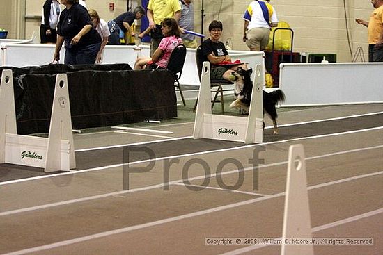 Dawg Derby Flyball Tournement<br />July 12<br />Classic Center<br />Athens, Ga