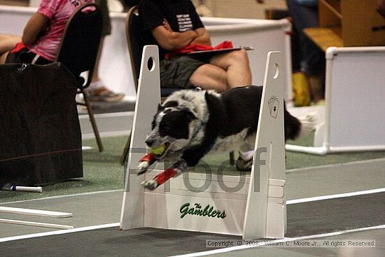 Dawg Derby Flyball Tournement<br />July 12<br />Classic Center<br />Athens, Ga