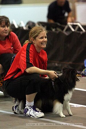 Dawg Derby Flyball Tournement<br />July 12<br />Classic Center<br />Athens, Ga
