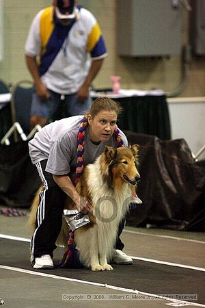 Dawg Derby Flyball Tournement<br />July 12<br />Classic Center<br />Athens, Ga