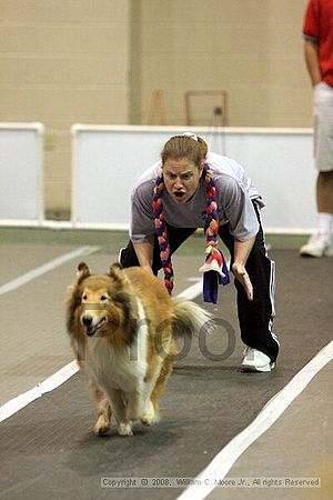 Dawg Derby Flyball Tournement<br />July 12<br />Classic Center<br />Athens, Ga